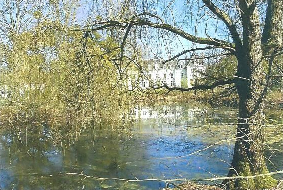 le chateau depuis la marre